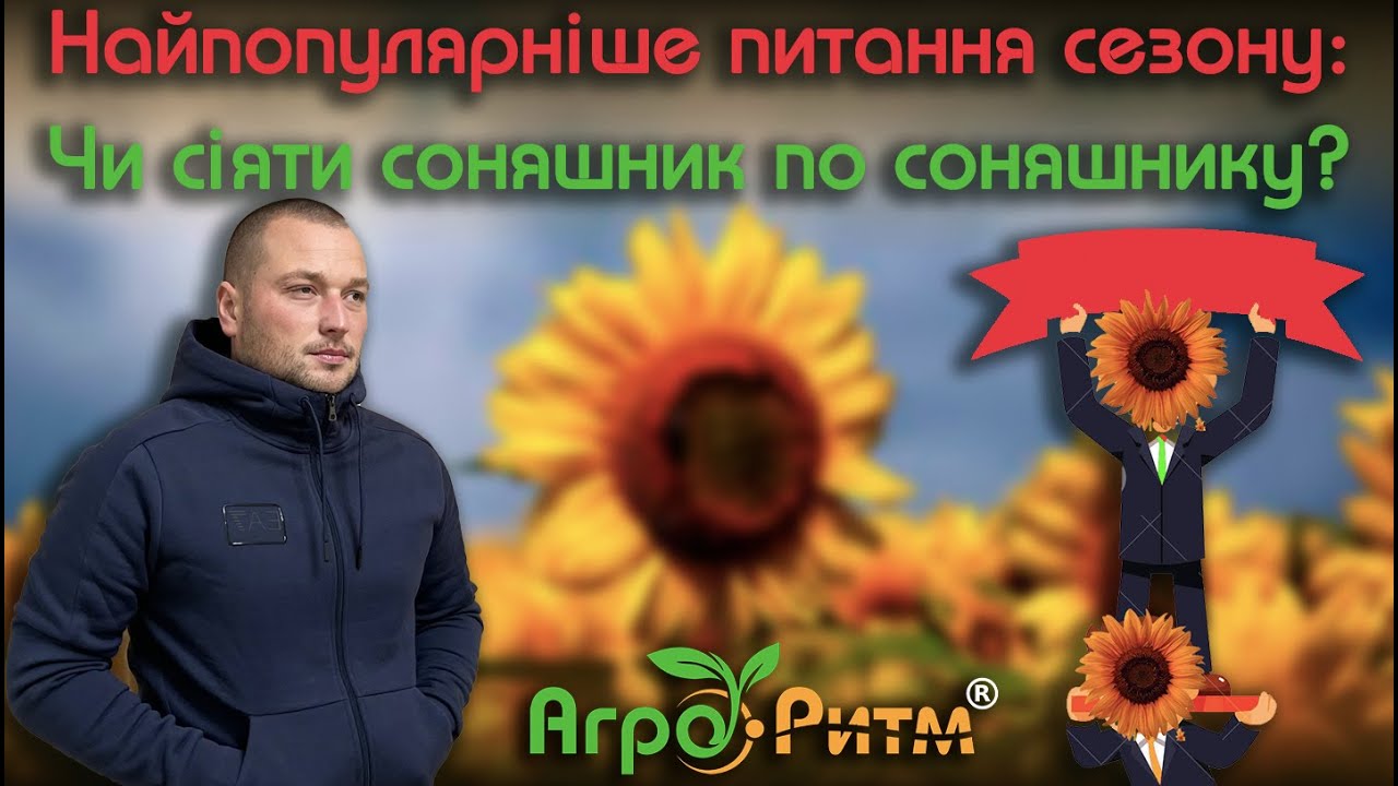 ТОП ПИТАННЯ СЕЗОНУ:ЧИ МОЖНА СІЯТИ СОНЯШНИК ПО СОНЯШНИКУ?