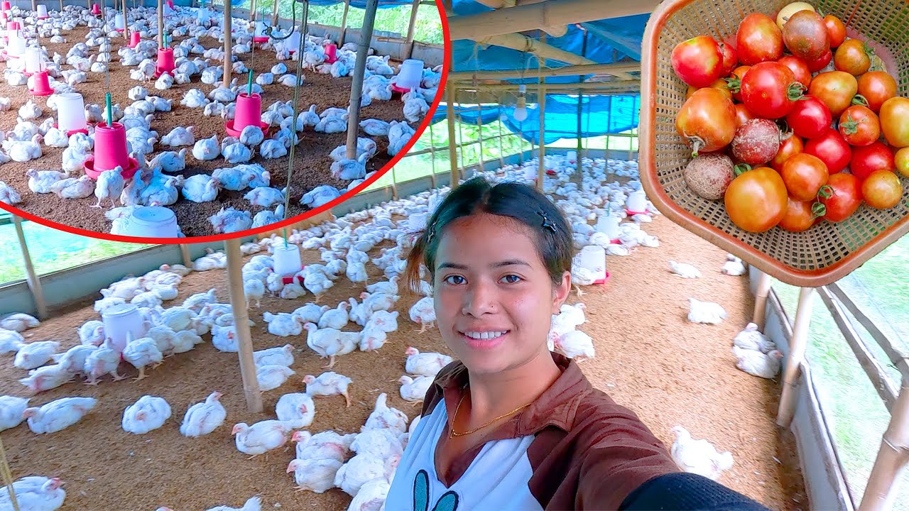 my mama's ( mother's brother ) farm house in Kathmandu || sumnima Rai @SumnimaRaini