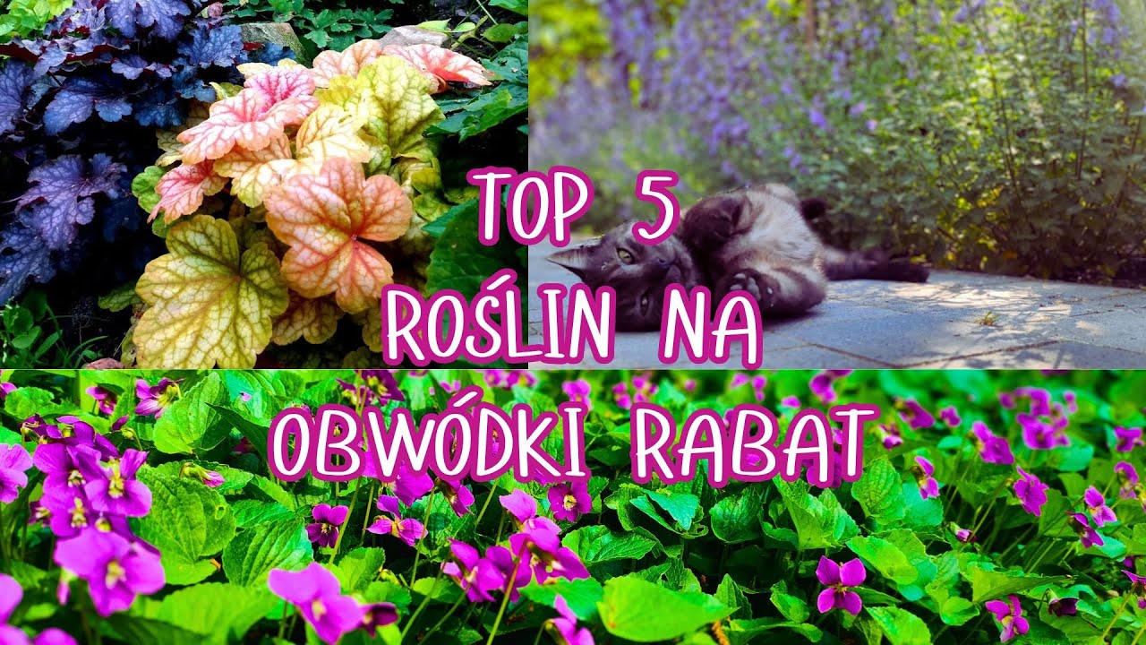 TOP 5 ROŚLIN NA OBWÓDKI RABAT. SPACER PO WIOSENNYM OGRODZIE, CO KWITNIE W KWIETNIU