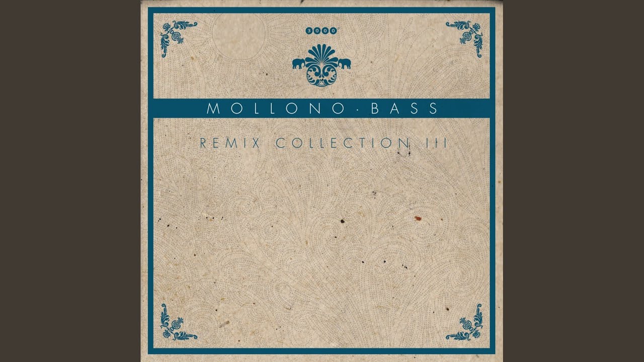 No Hau (Mollono.Bass and Seth Schwarz Remix)