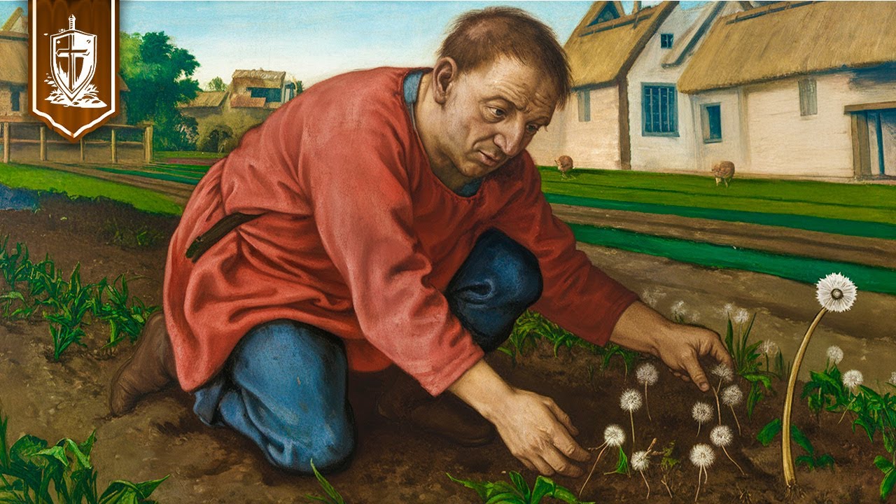 15 Common Weeds That Were Expensive Medieval Superfoods ( Growing in Your Yard Right Now!)