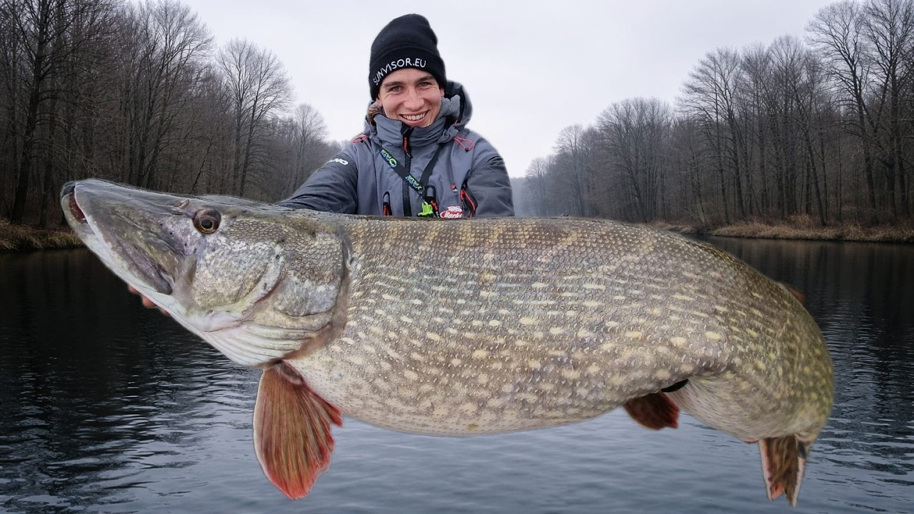 Hat dieser Monsterhecht endlich 20kg+?! Auf der Suche nach dem Weltrekordhecht
