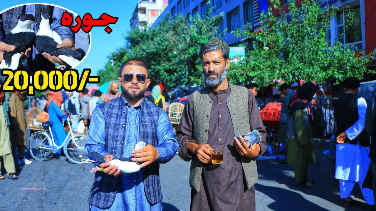 جمعه بازار کوچه کاه فروشی- کفتر های زور بازار Street pigeons Bazar kabul | Precious pigeons of Bazar