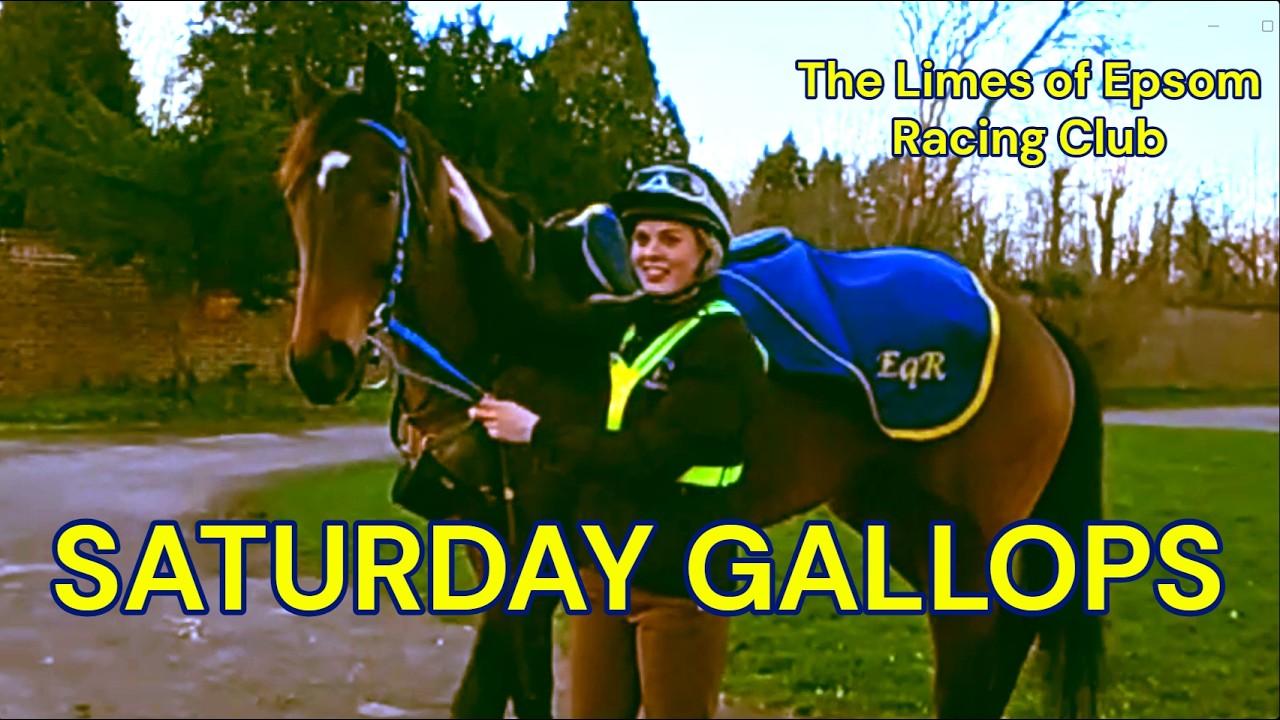 Saturday Gallops at The Limes: Where Racehorses Train, Thrive, and Find Their Future