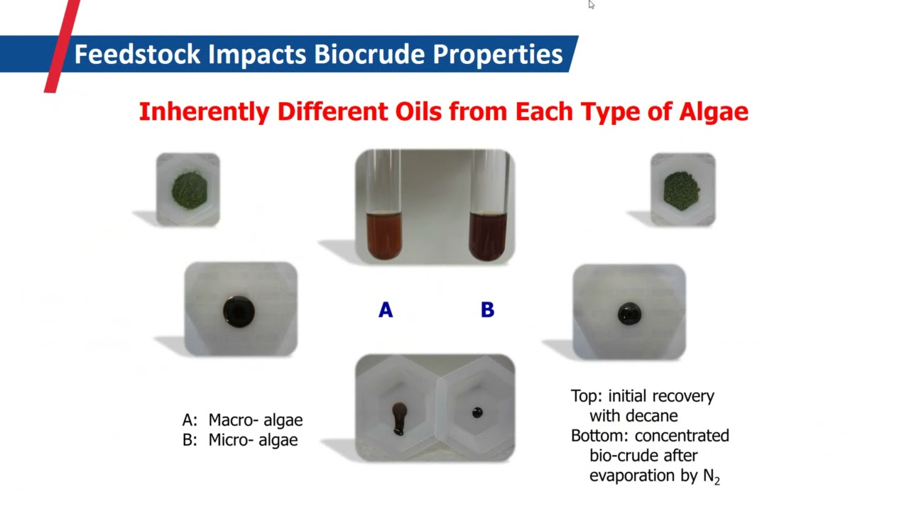 Using Thermochemical Conversion to Convert Biomass to Valuable Products