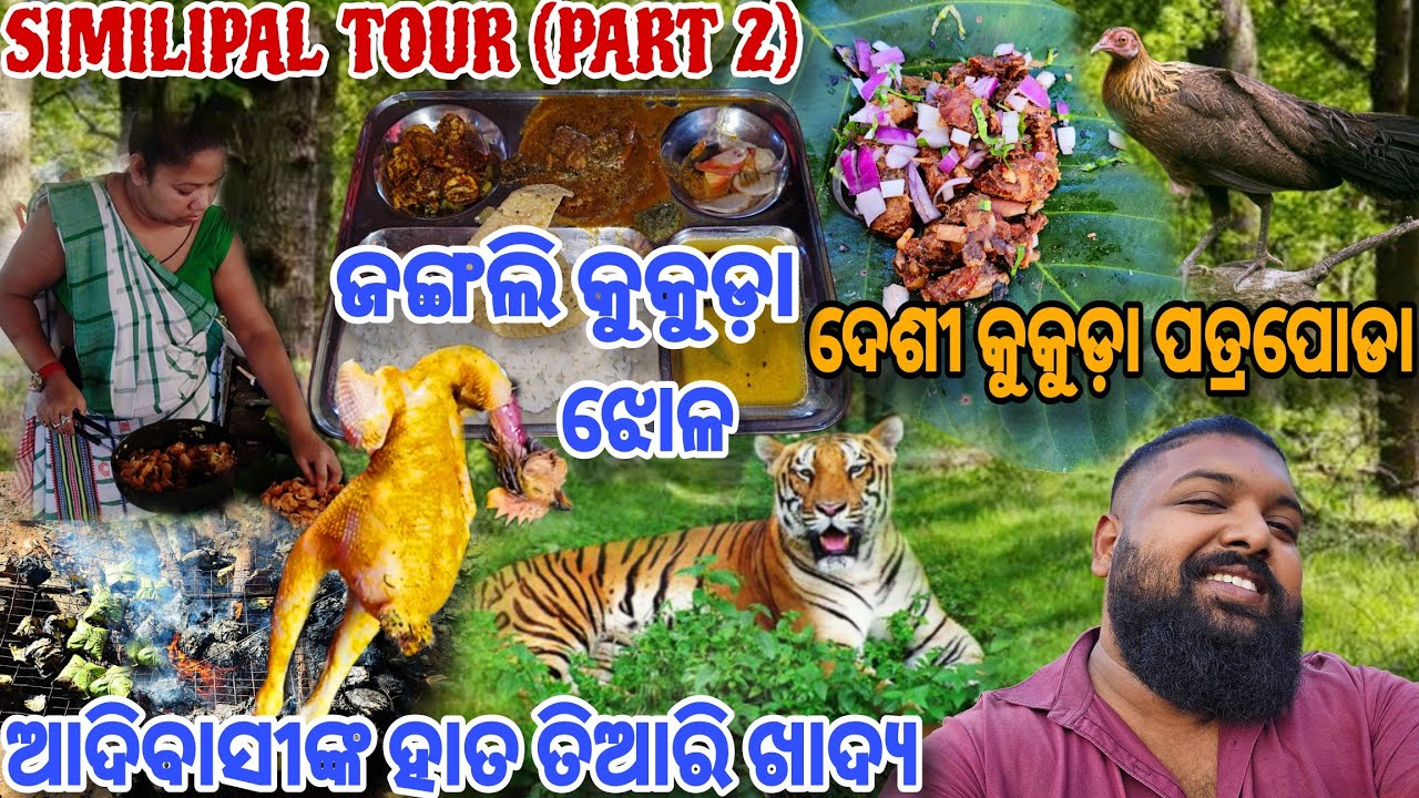 Adivasi ଙ୍କ ହାତରୁ Junglee Desi Chicken Meal କୁ Desi Kukuda Patra Poda // Similipal Tour // Part 2