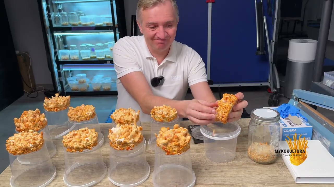 Cordyceps :testy, testy i jeszcze raz testy - odc 3