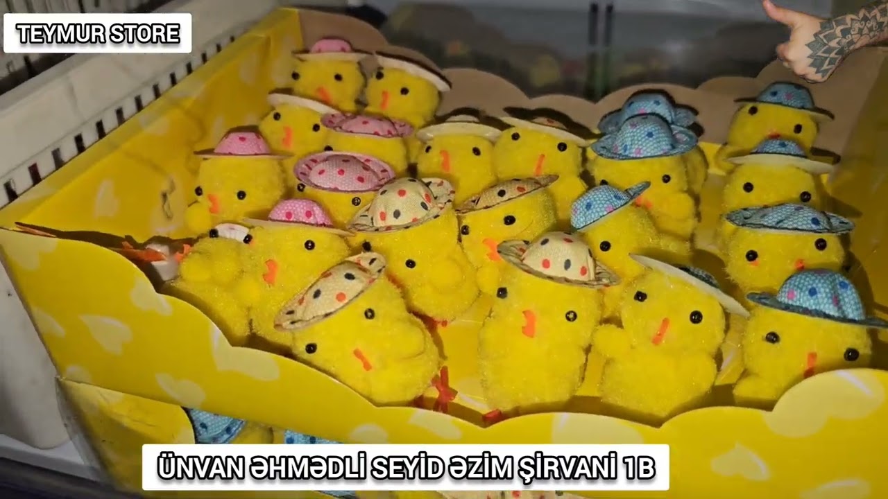 Bakının Ən Bol Çeşidli Mağazası.Ev Mətbəx Əşyaları.Teymur Store