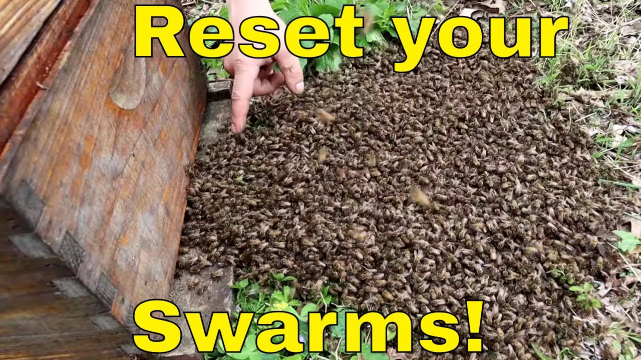 Keep your Swarms from Leaving!