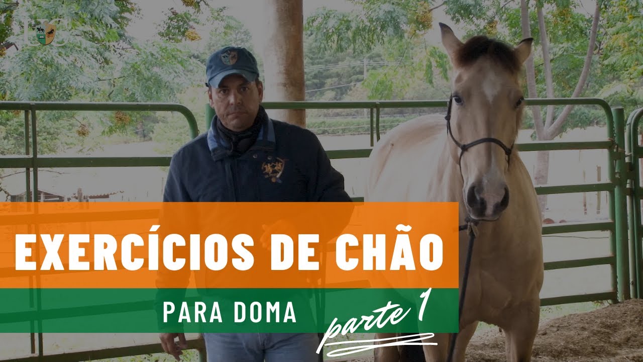 TV UC - Exercícios de chão para doma de cavalos - Parte 1