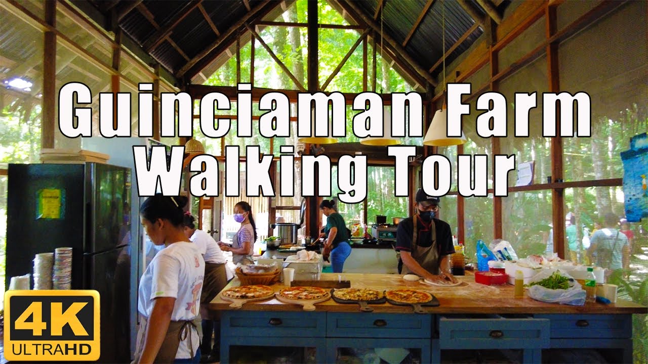 The Farm at Guinciaman | San Miguel, Leyte | Virtual Tour 4K | Julanders