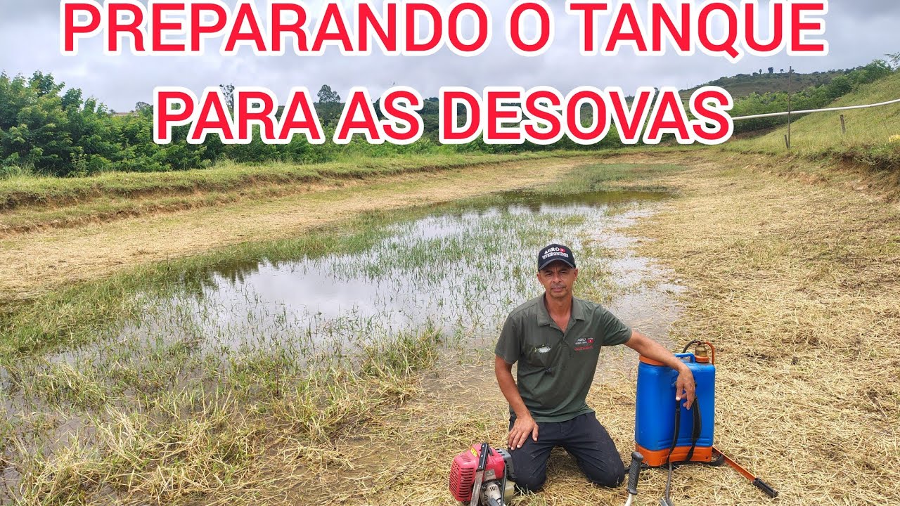 PREPARANDO O TANQUE PARA A DESOVA  ,( REPRODUÇÃO DOS LAMBARIS) 