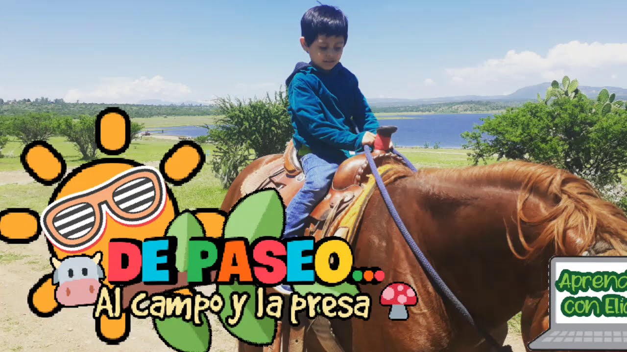 De paseo al campo 🌳 | Aprende con Elias