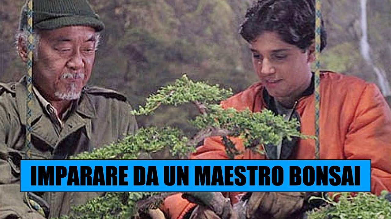 PERCHÈ FARSI SEGUIRE DA UN MAESTRO BONSAI