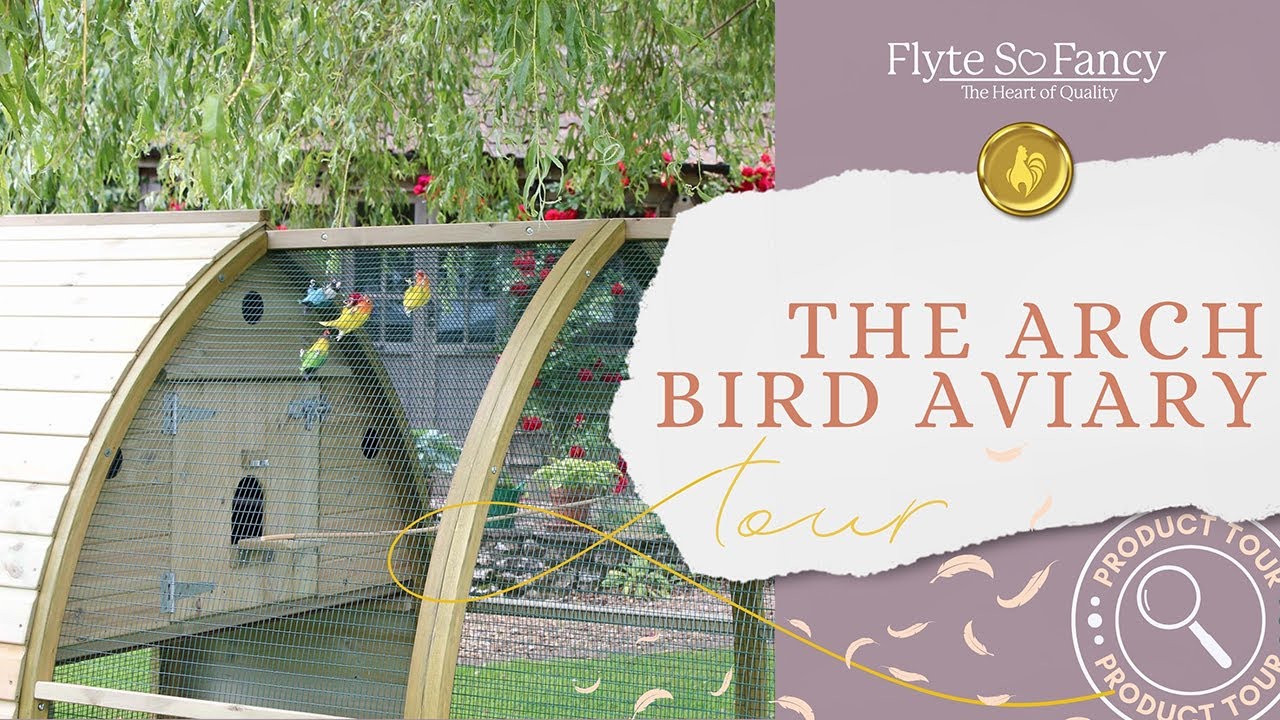 The Arched Bird Aviary: Discover the Beauty and Quality at Flyte so Fancy