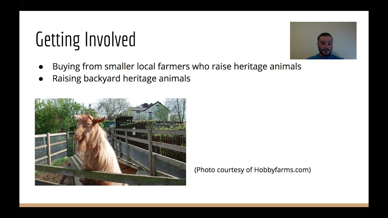 Raising Heritage Breeds to Preserve and Increase Genetic Diversity