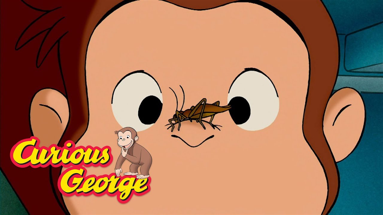 What Sound Do Crickets Make? 🐵 Curious George 🐵 Kids Cartoon 🐵 Kids Movies