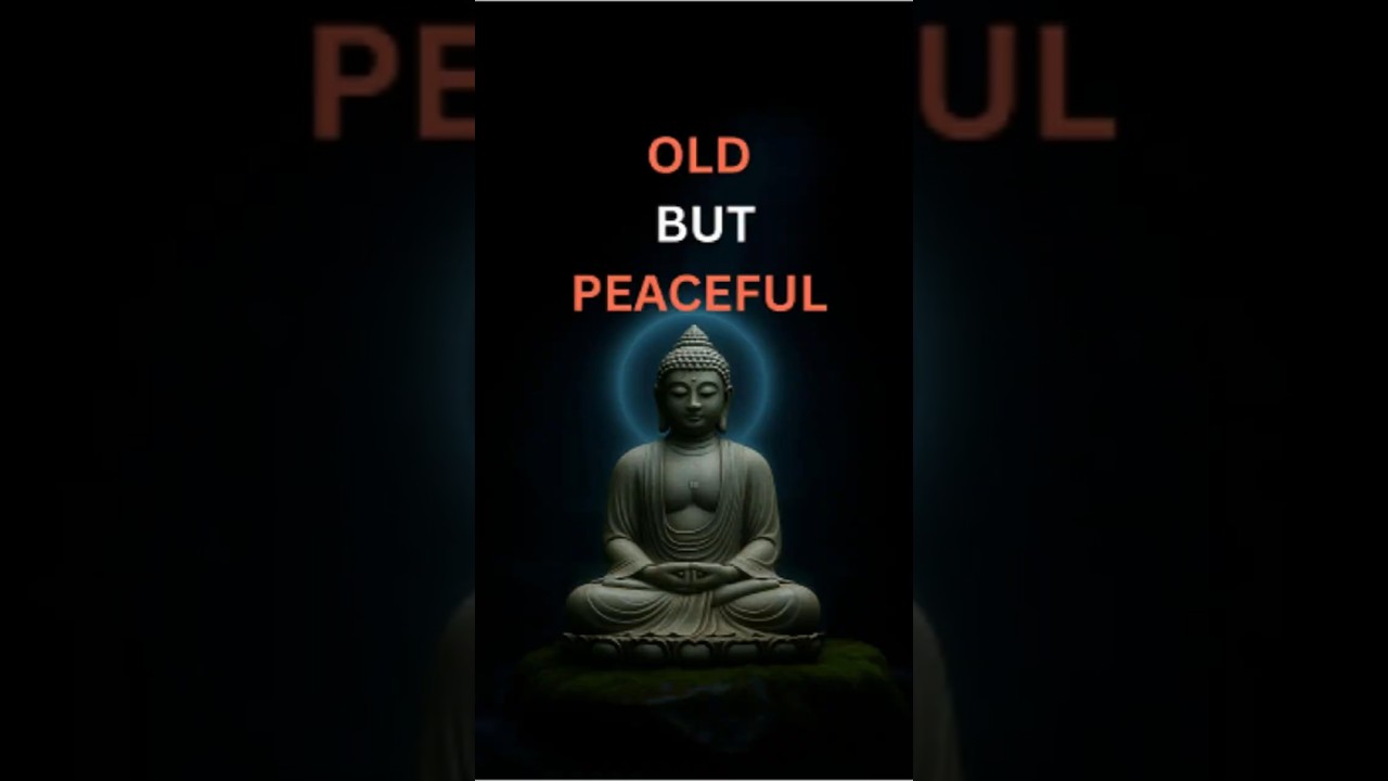 Buddhist Wisdom on Aging and Loneliness