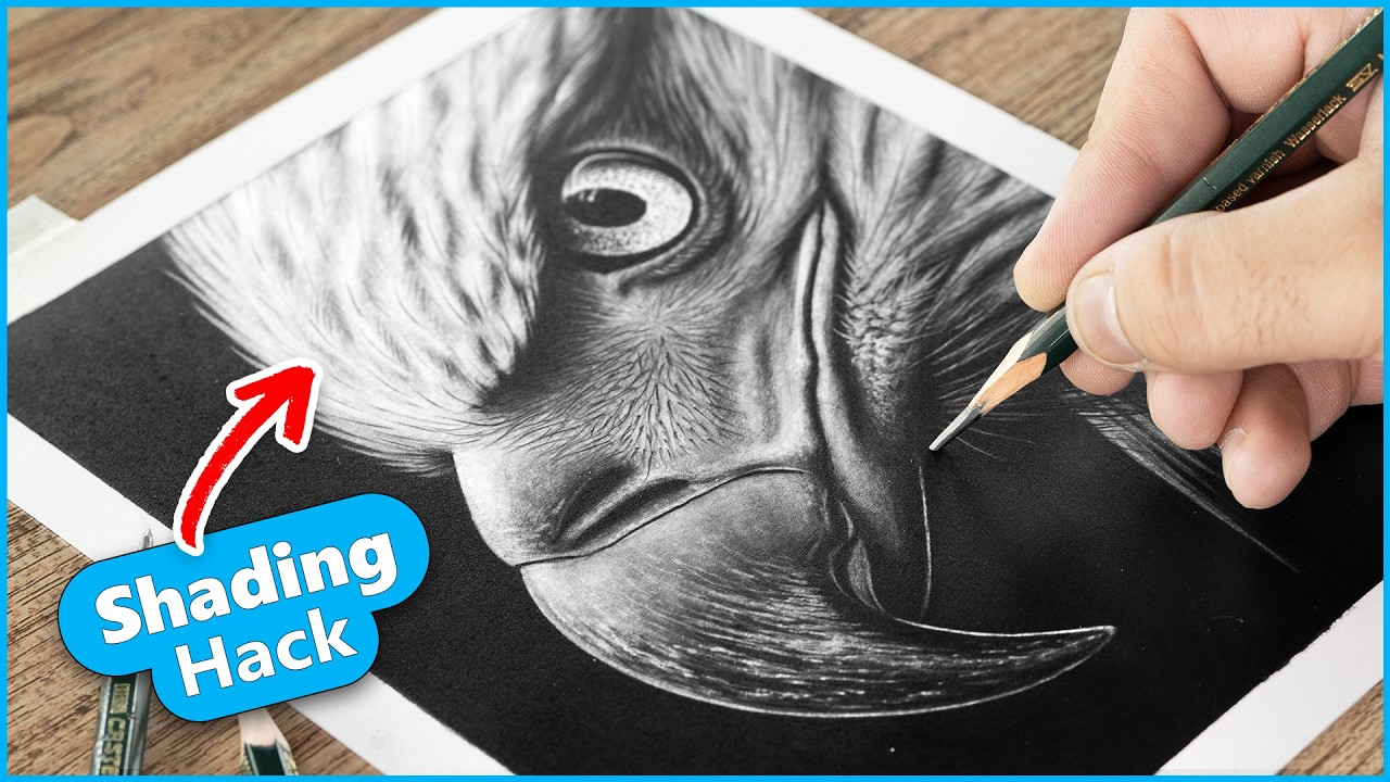 Drawing Birds was never this easy | Eagle drawing for Beginners