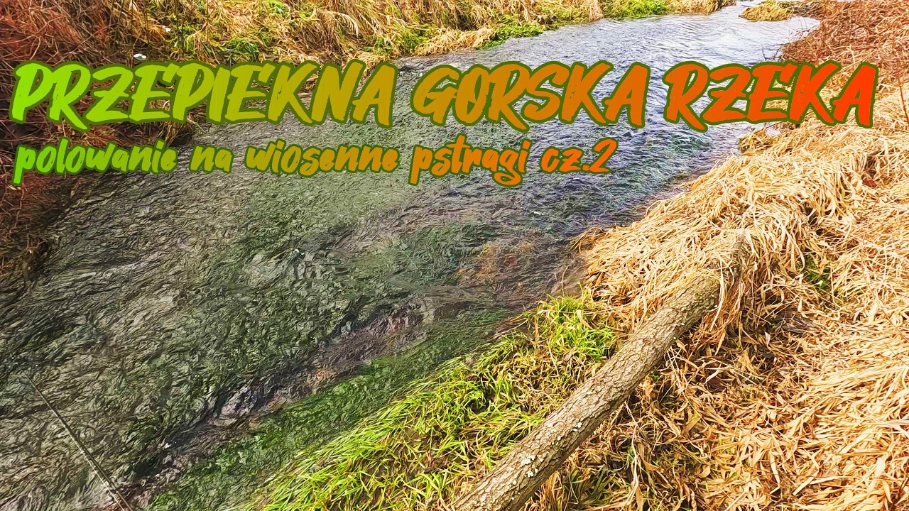 Ekstremalna wyprawa nad górskim potokiem. Polowanie na wiosenne pstrągi cz.2 #spiningfishing #nature