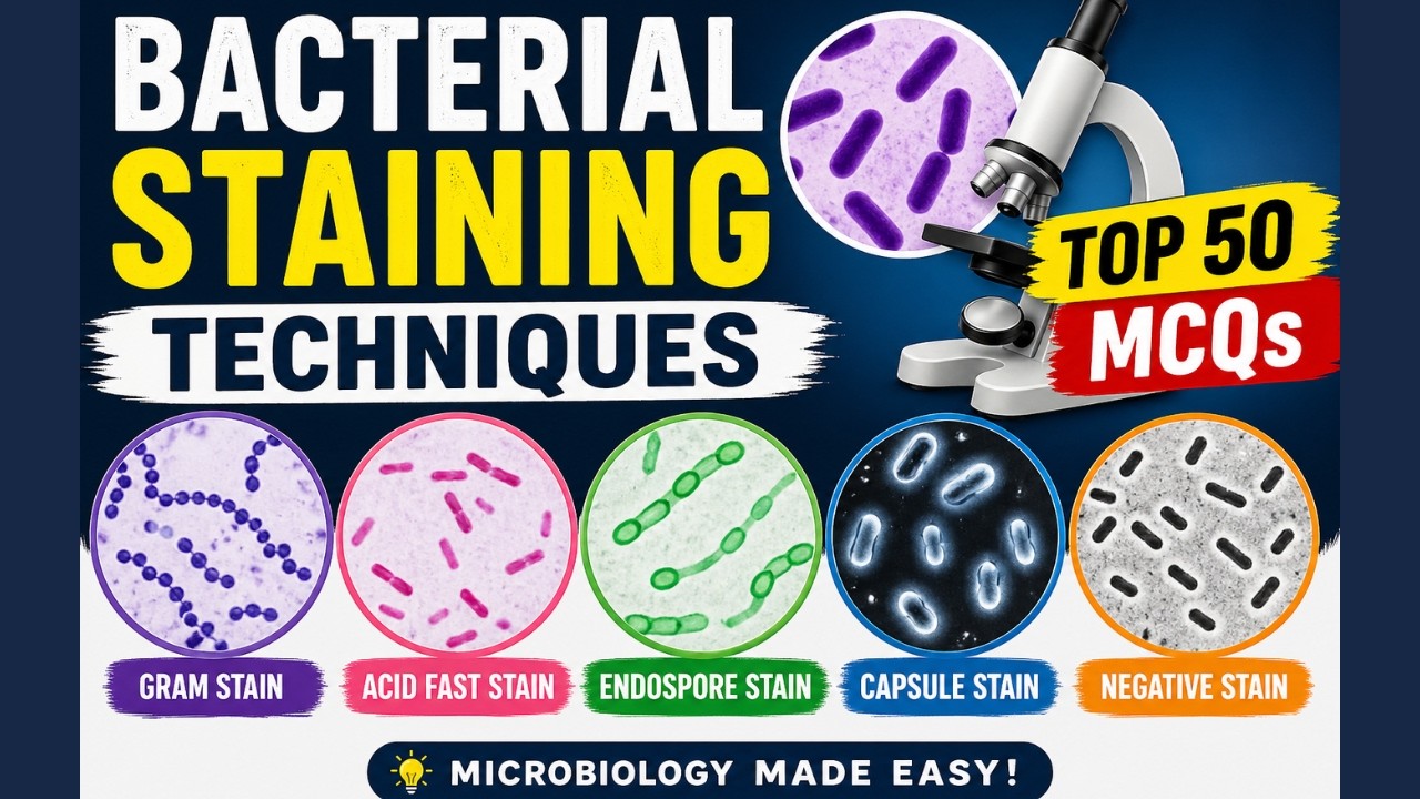 Top 50 Bacterial Staining MCQs 🔬 | Gram, Acid-Fast, Endospore, Capsule & Negative Stain
