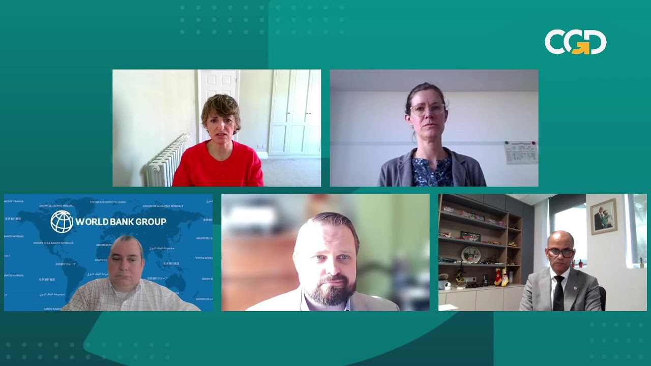 FRAN&Ccedil;AIS Skills on the Move: Using Labour Mobility to Make Vocational Training More Effective