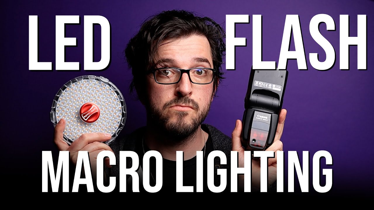 Macro lighting: LED Vs flash - What's the difference and which is best