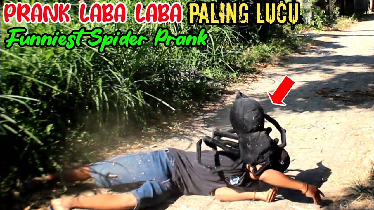 edisi Prank Laba Laba Terlucu || Asli Bikin Ngakak 🤣🤣 || Funniest Spider Prank