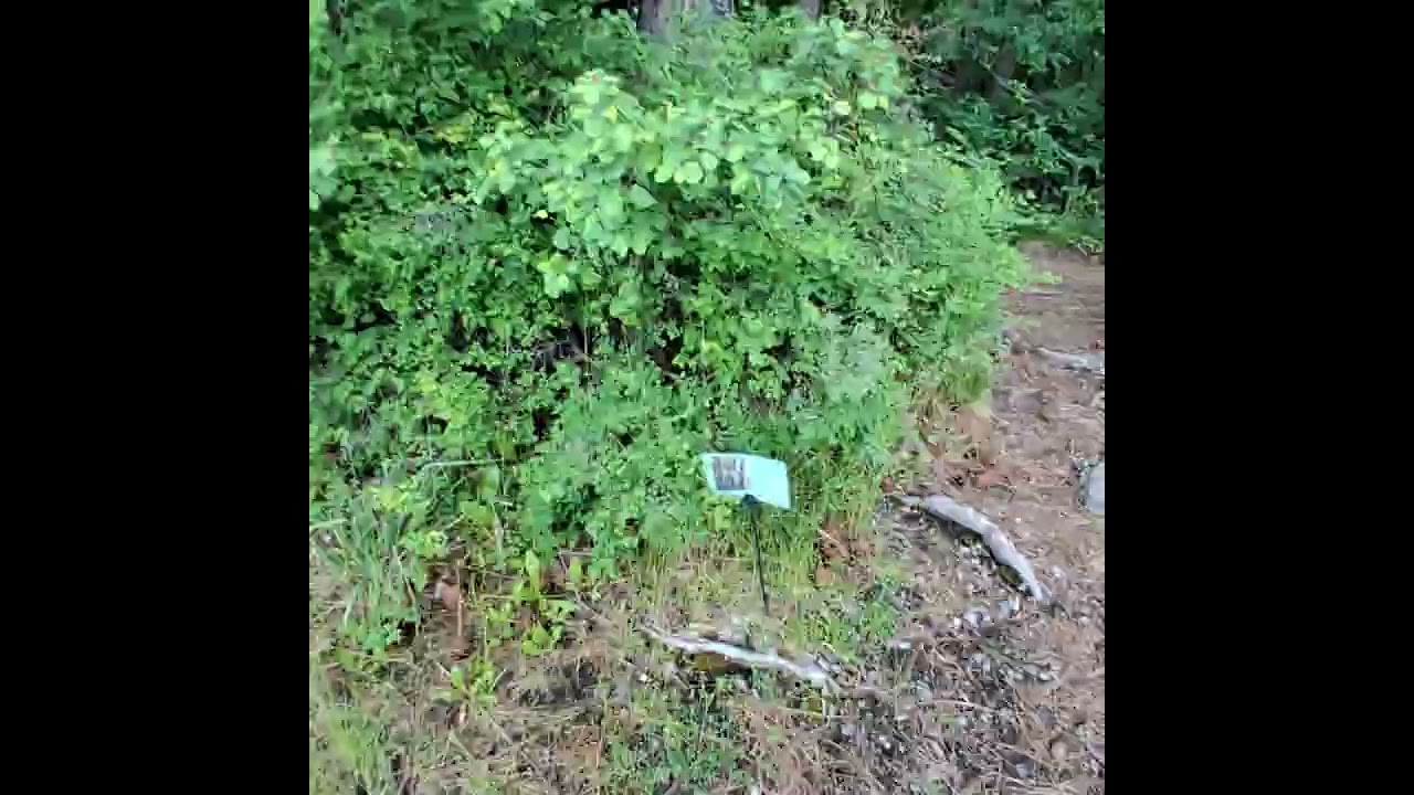 Wayfarers State Park