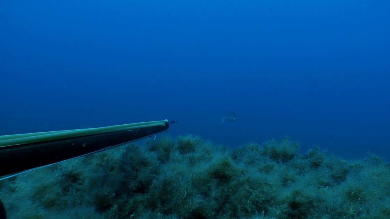 SPEARFISHING DOCUMENTARY TA THIRAMATA & TA MISTIKA TOYS - THE DENTEX (H SINAGRIDA) PART 1