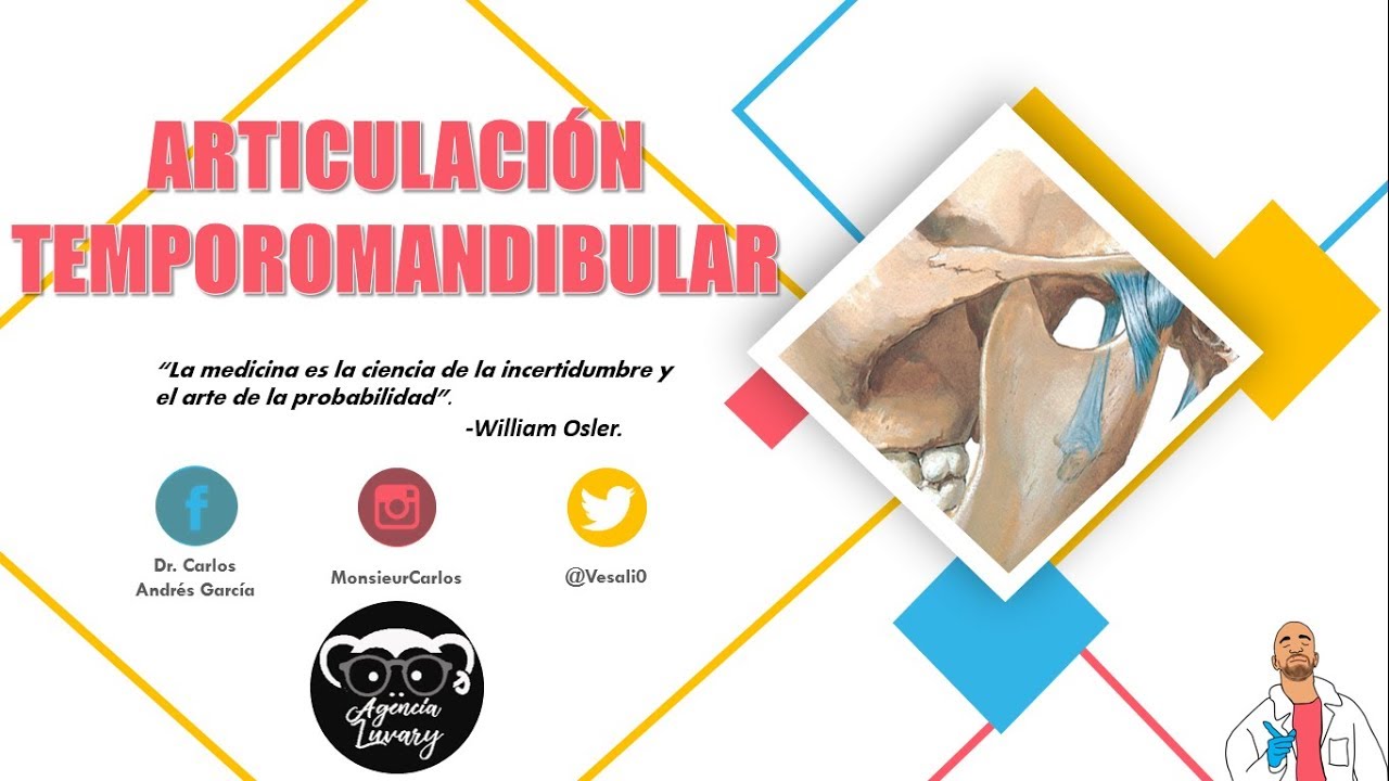 Anatomía - Articulación Temporomandibular (Superficies Articulares, Medios de Unión)