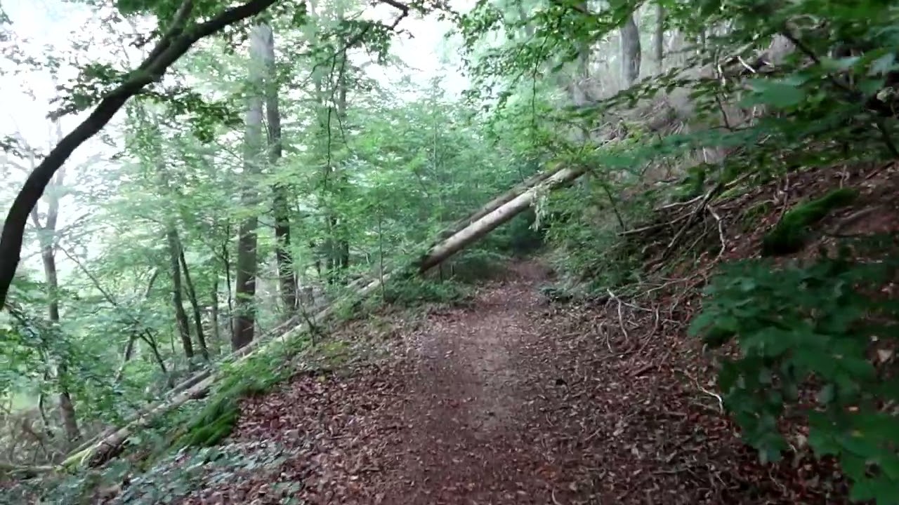 Panoramaweg Diemelsee 'Rundwanderweg'