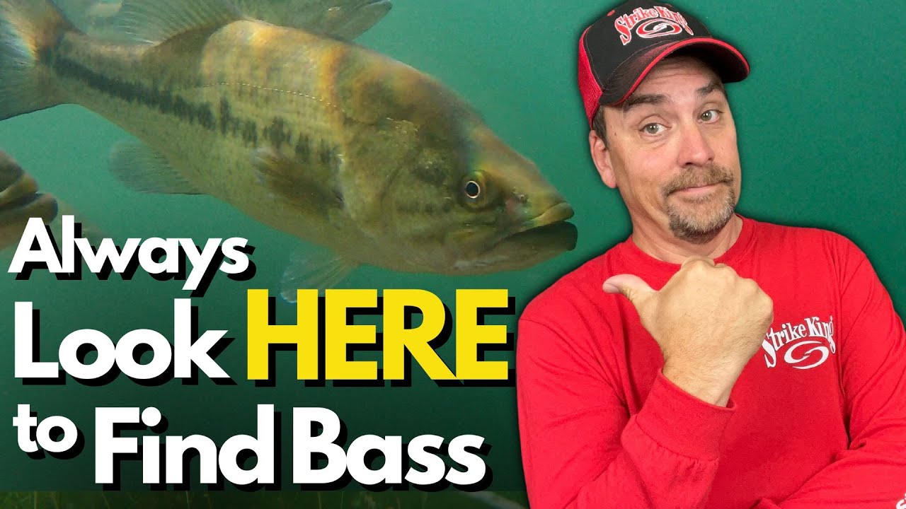 Find the MOST Bass on Your Water - Where to Start and Why
