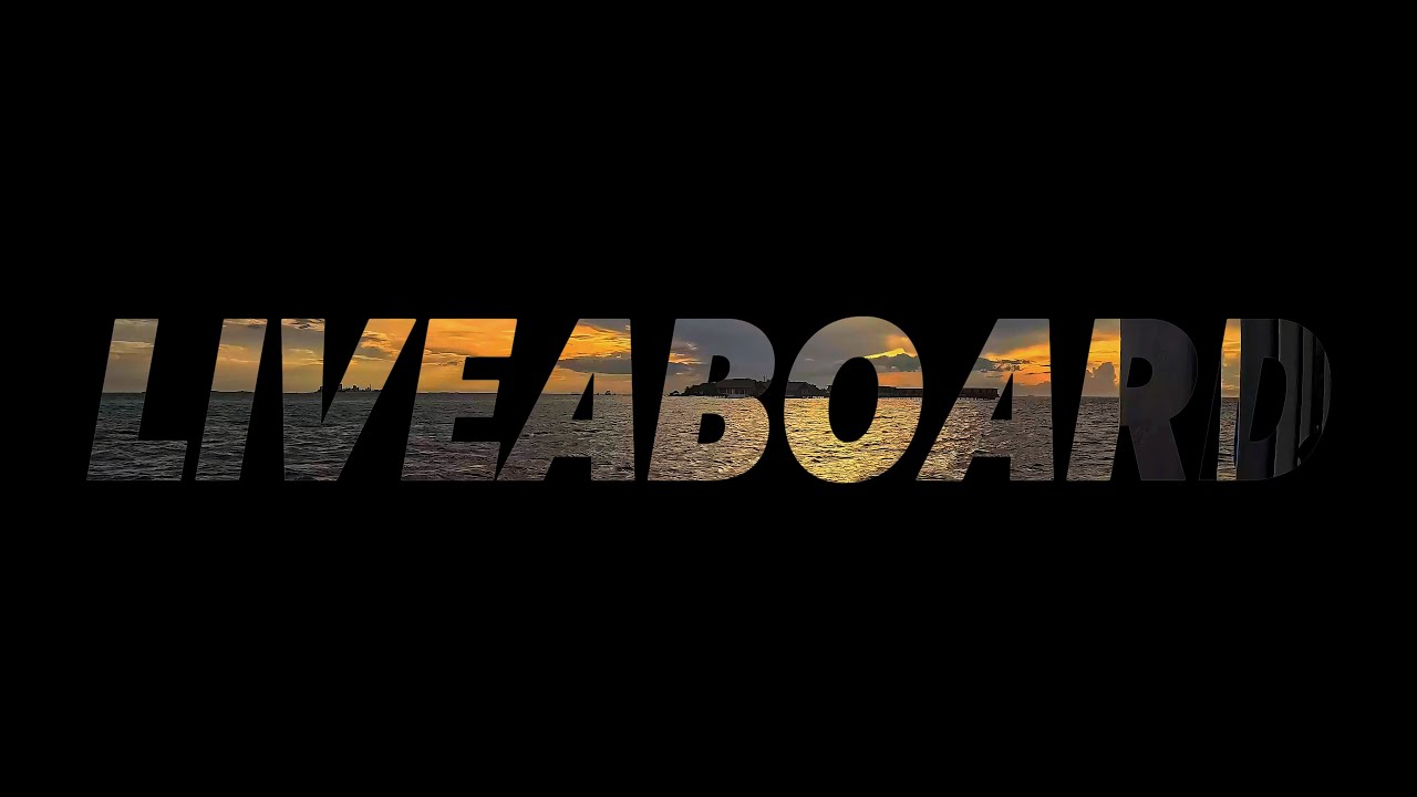 Liveaboard Maldives 2024 #diving #divingadventures