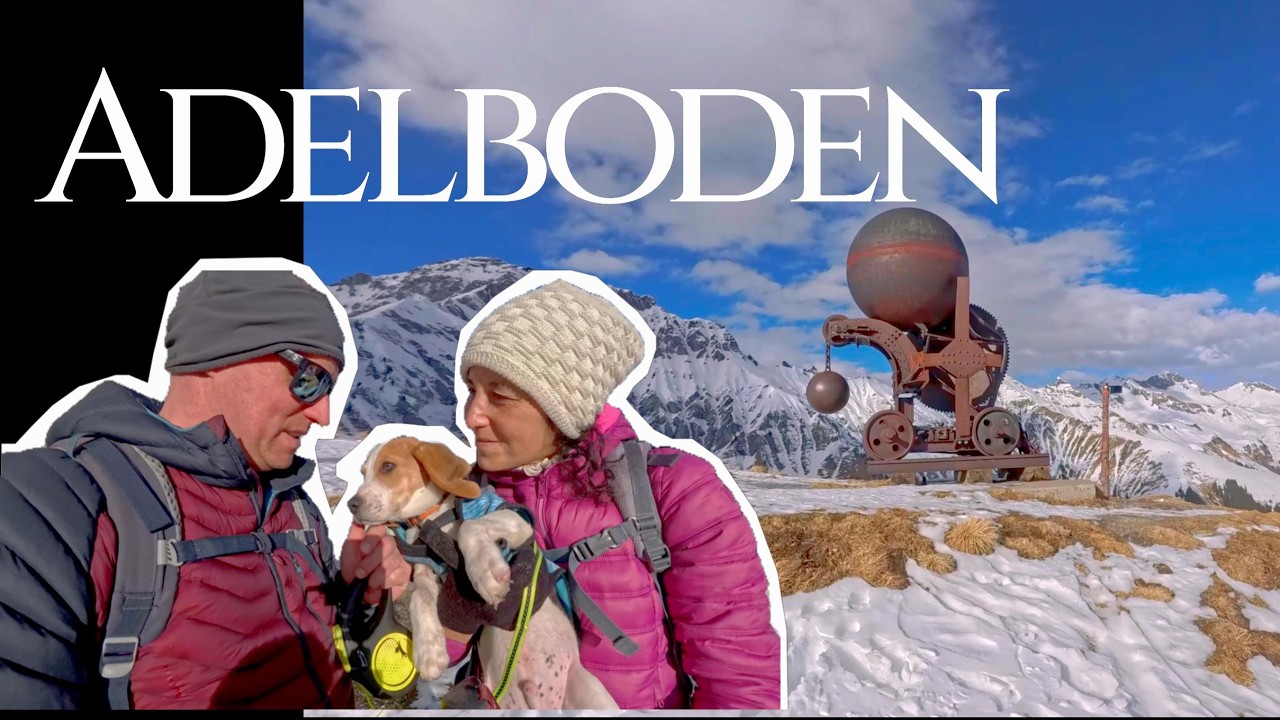 Avventura Alpina🐾 ad Adelboden: Trekking sulla Neve con Sisko🚶&zwj;♂️🐕 e Panorami da Sogno🏔️