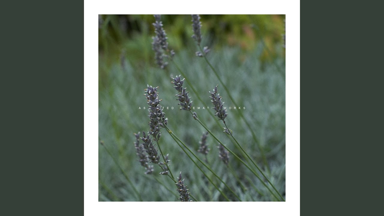Frost