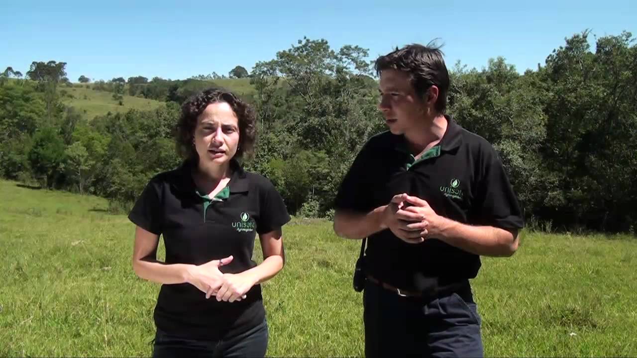 USO ECONOMICO DE RESERVA LEGAL E LEGISLAÇÃO SOBRE APP