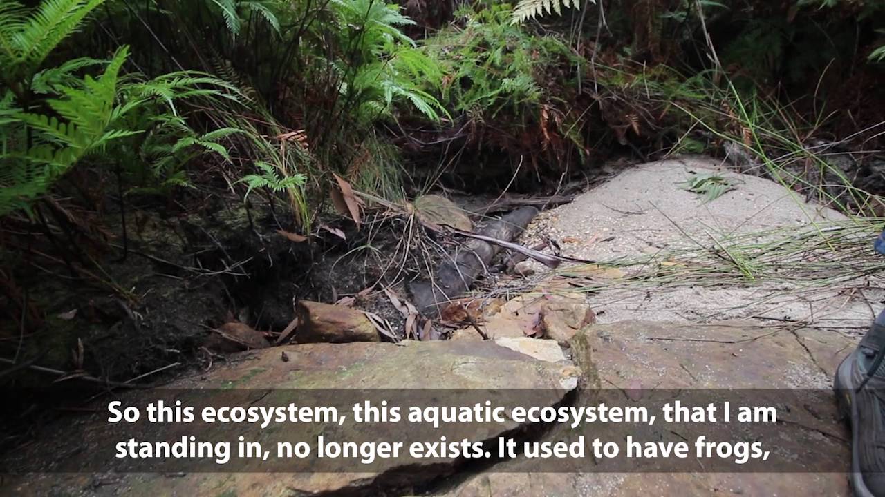 Sydney's Cataract Dam water catchment area is cracked by coal