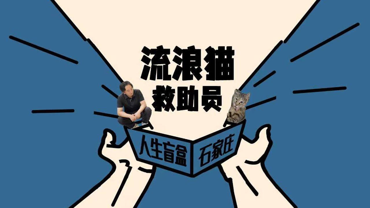 体验救助流浪猫：爱让血肉疯狂生长#流浪动物 #猫 #动物救助 #喵星人 #救助猫