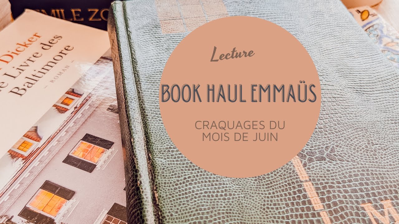 Book Haul spécial Emmaüs
