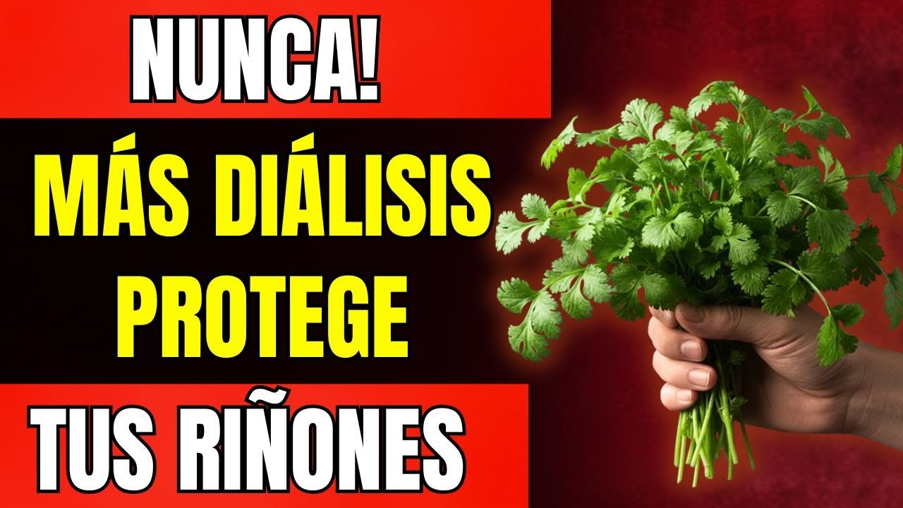 HOJAS NATURALES que APOYAN tus RIÑONES y Previenen la Diálisis|Dr. Fernando Manochi Torres