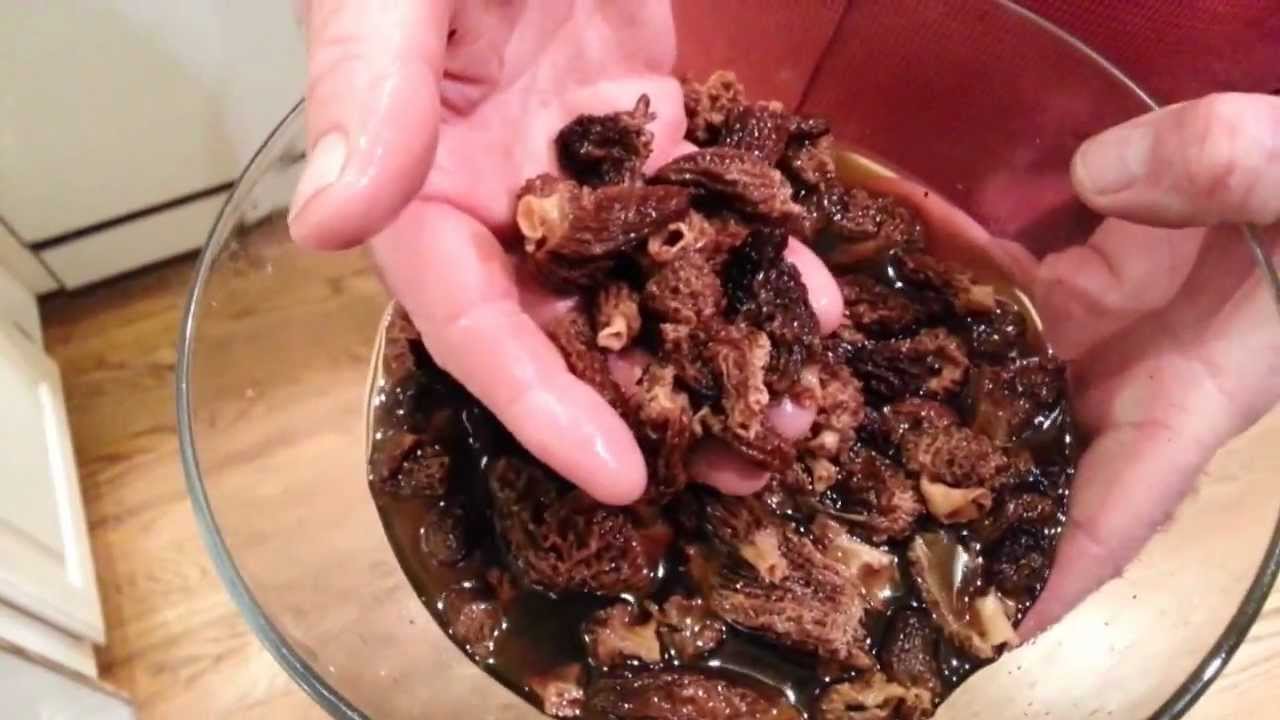 How to Cook a Morel Mushroom Sauce