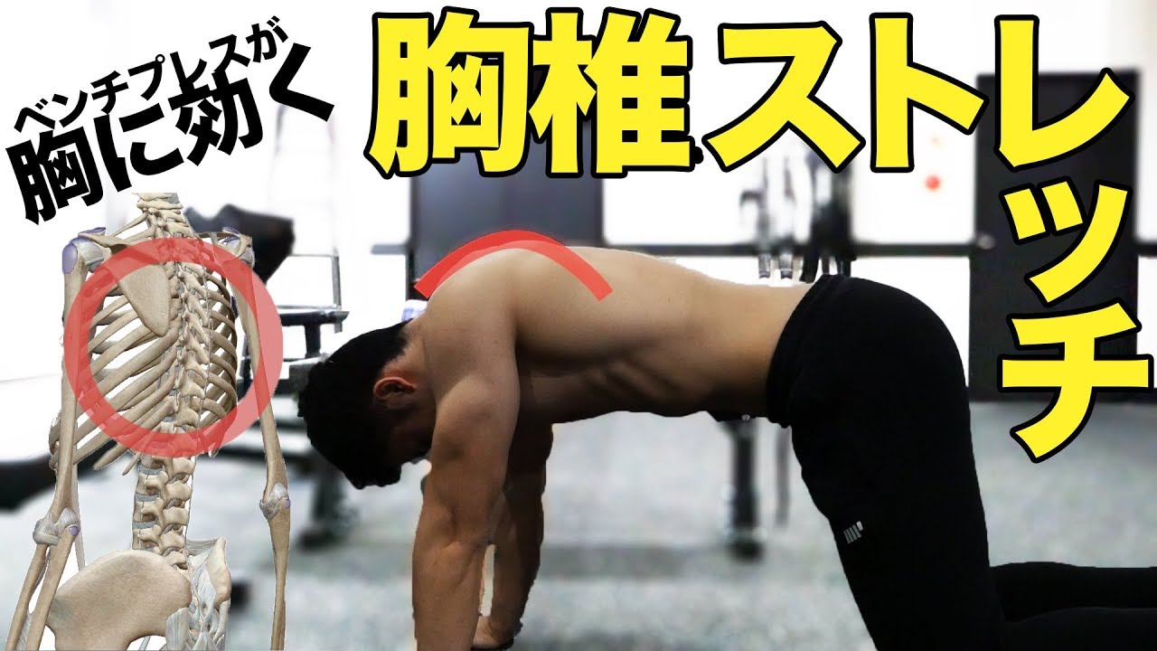 【大胸筋】ベンチプレスが胸に効かない人のストレッチ【筋トレ】