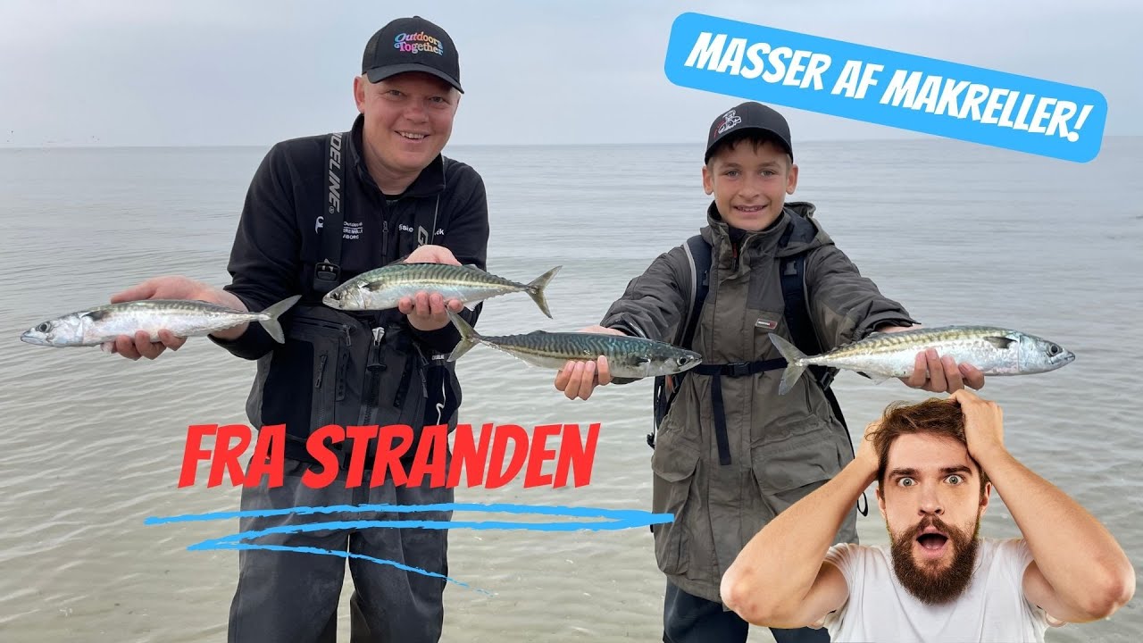 Makrelfiskeri på Vestkysten