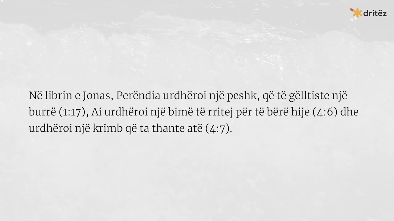 8 gusht - Sunduesi i gjithë natyrës