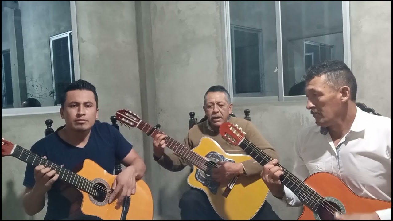 Pasillo Profundo Dolor . Manuel Herrera y su grupo Robert y angel Sánchez