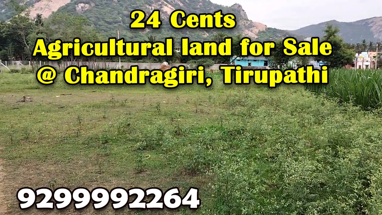 24 Cents Agricultural land for Sale @ Chandragiri, Tirupathi