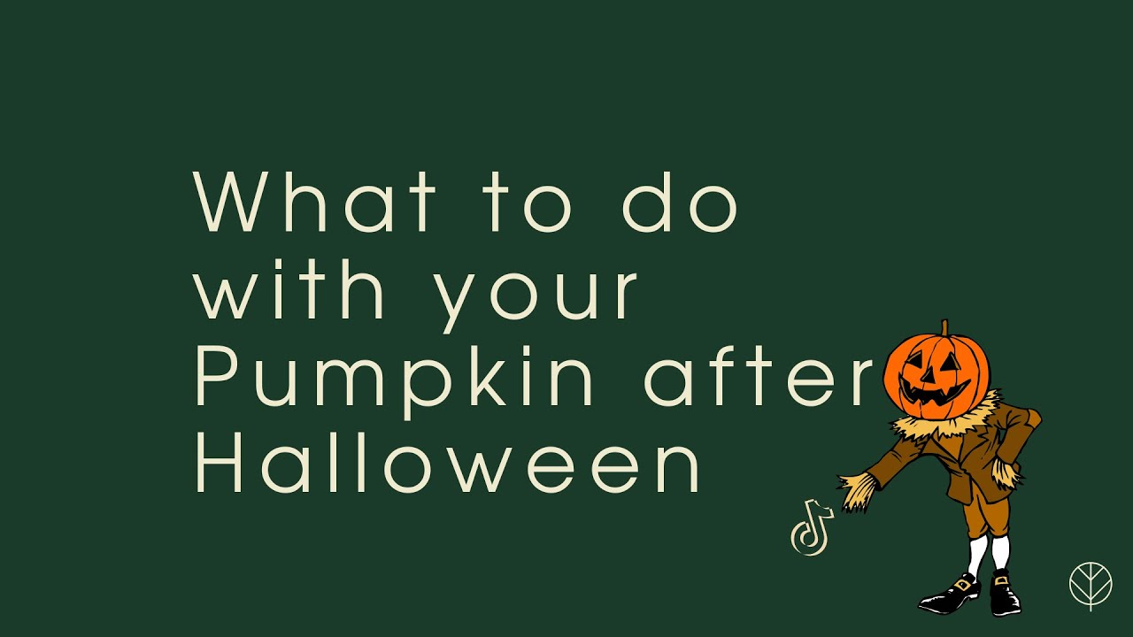 What to do with your Pumpkin after Halloween - Reuse