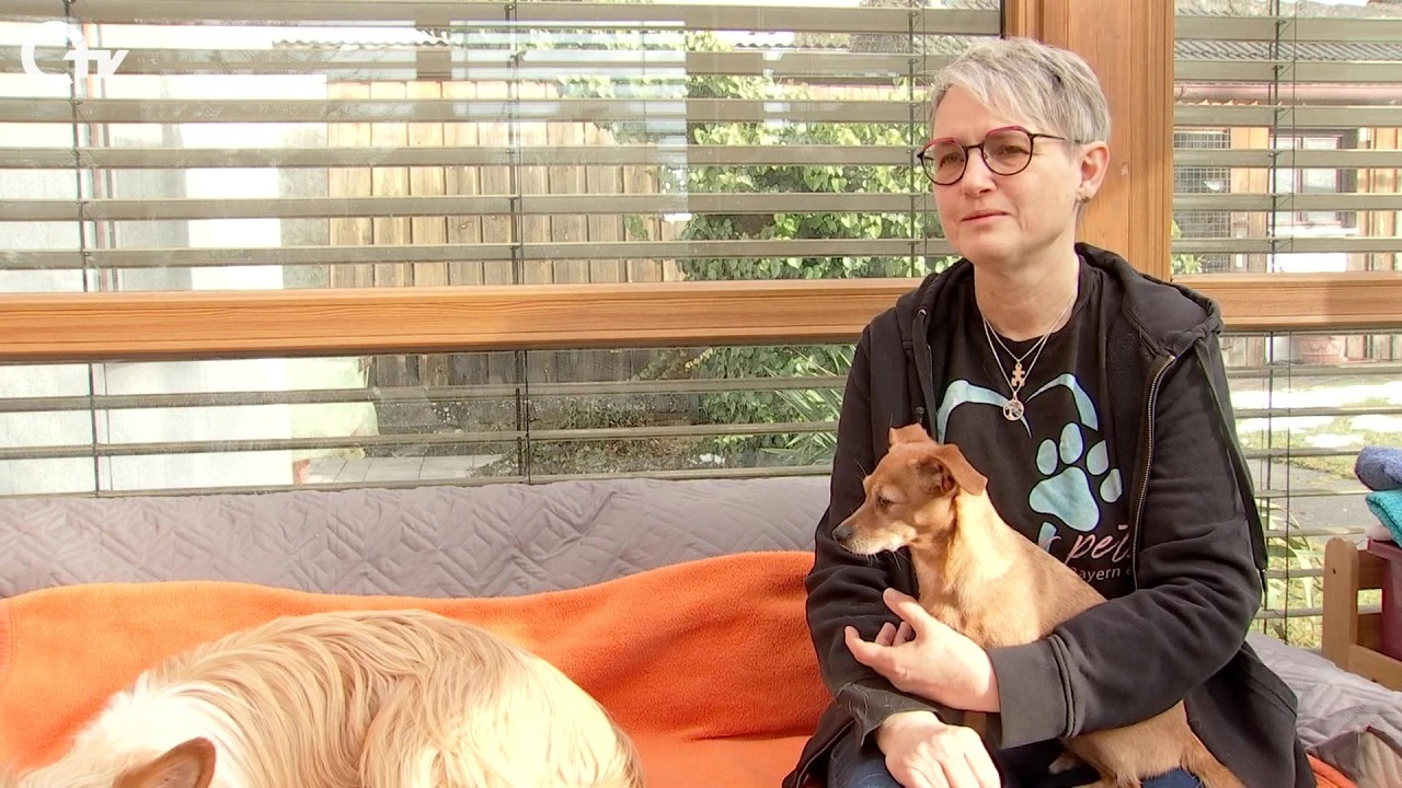 SOS for Pets – Haustieren aus schlechten Verhältnissen helfen in Schwandorf
