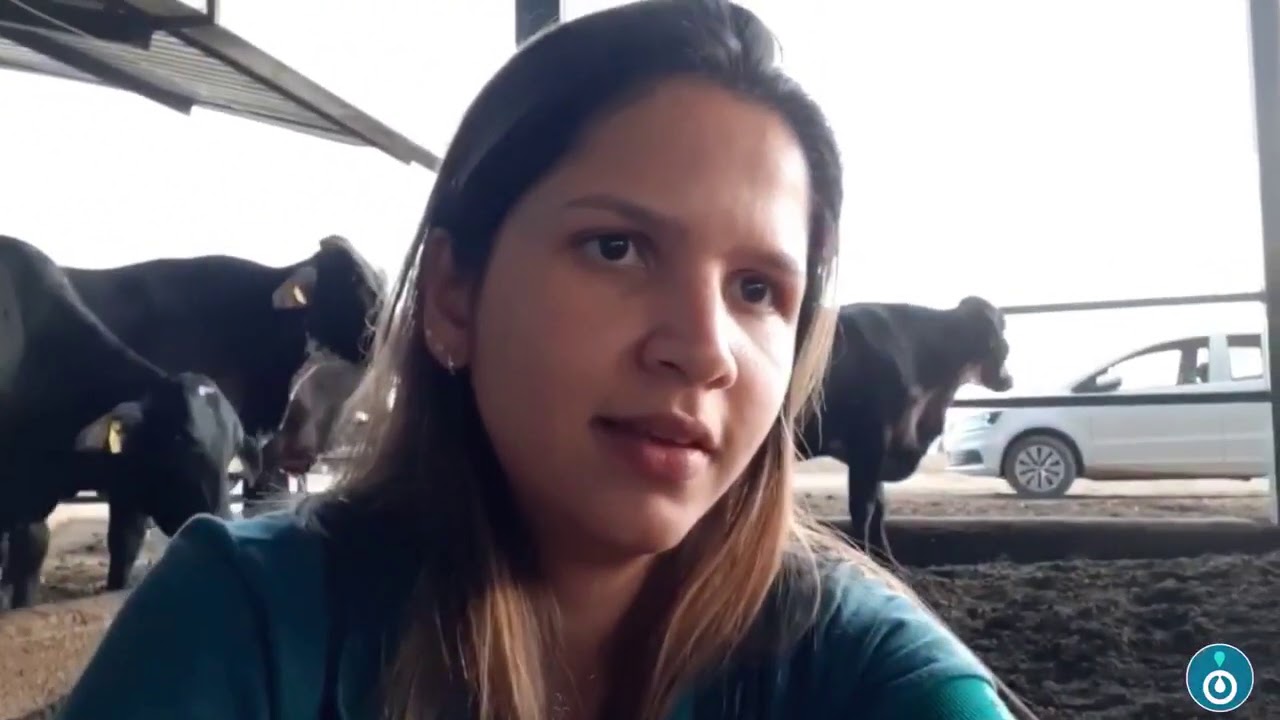 Avalia&ccedil;&atilde;o da cama de compost barn